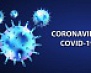 Статистика по коронавирусу на 29 октября