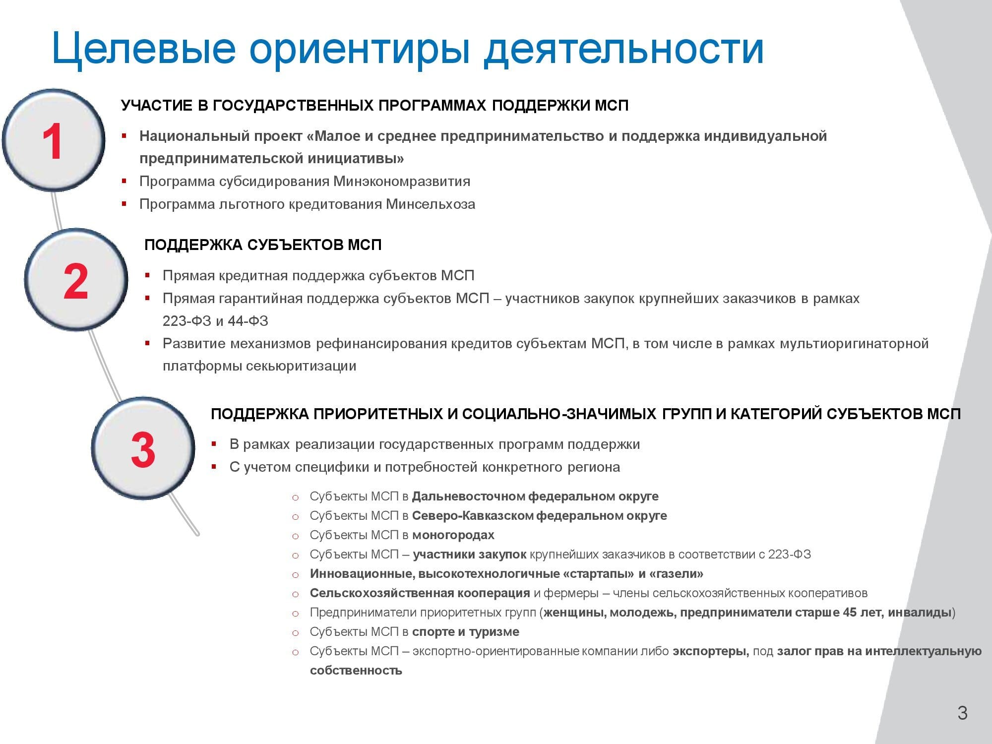 Ориентиры деятельности. В рамках реализации государственной программы. Финансовые инструменты поддержки. Финансовые инструменты для МСП. Ориентир деятельности.