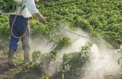 Правила обращения с пестицидами