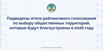 Итоги рейтингового голосования Итоги рейтингового голосования