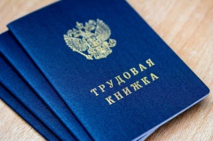 Нелегальная занятость Нелегальная занятость