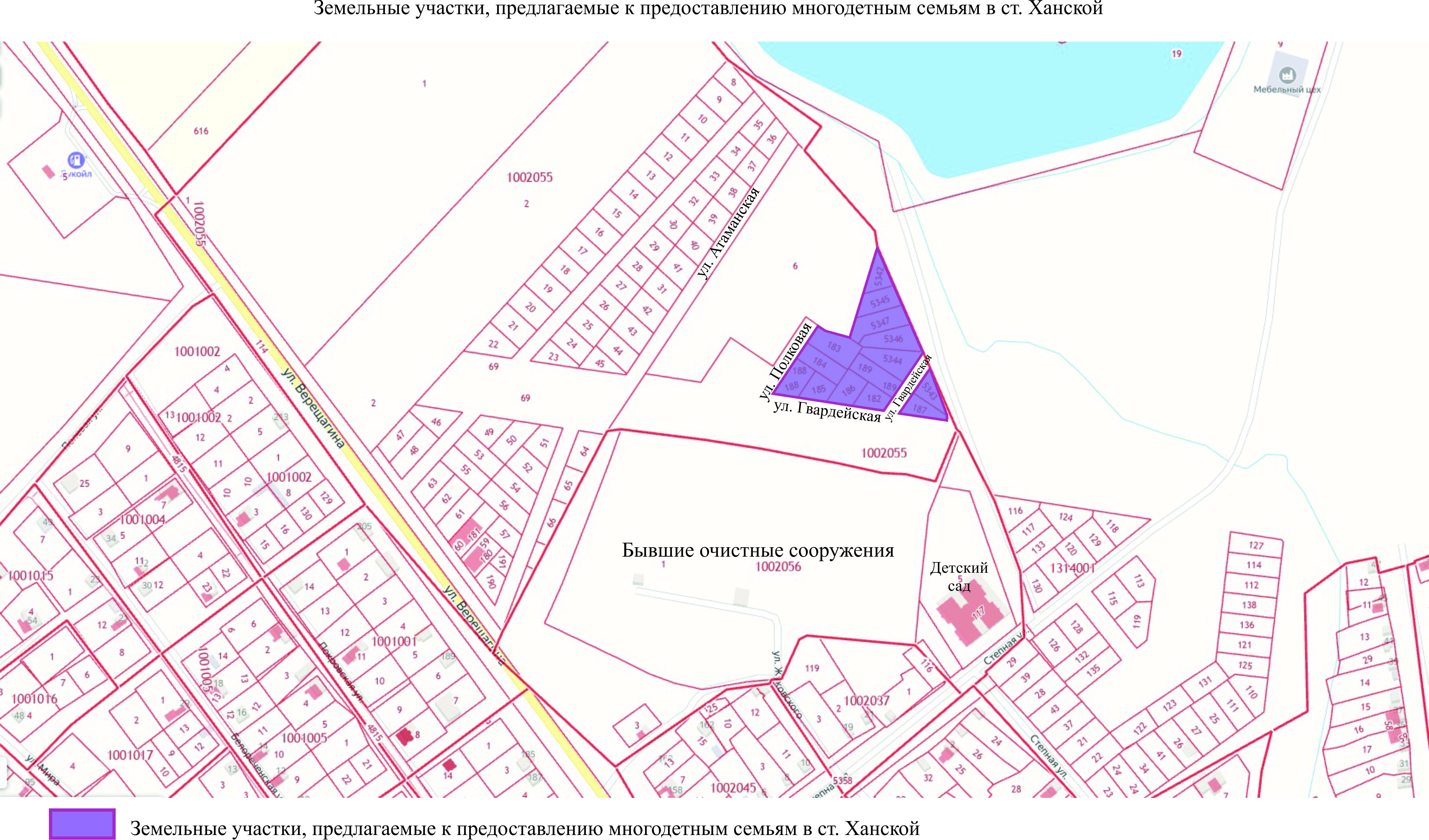 Пушкинская карта для многодетных семей