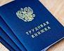 Нелегальная занятость 