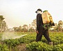 Безопасность при работах с пестицидами