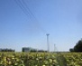 «Россети Кубань» информируют