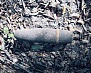 Росгвардия информирует